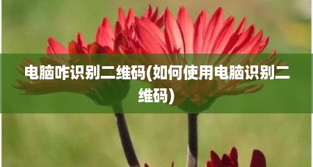 电脑咋识别二维码(如何使用电脑识别二维码)