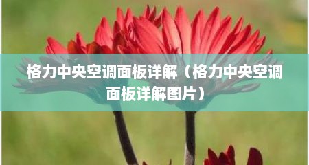 格力中央空调面板详解（格力中央空调面板详解图片）