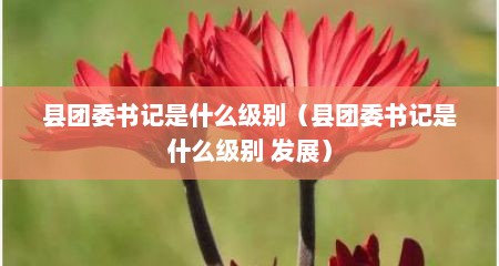 县团委书记是什么级别（县团委书记是什么级别 发展）