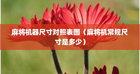麻将机器尺寸对照表图（麻将机常规尺寸是多少）
