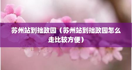 苏州站到拙政园（苏州站到拙政园怎么走比较方便）