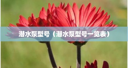 潜水泵型号（潜水泵型号一览表）