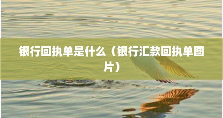 银行回执单是什么（银行汇款回执单图片）