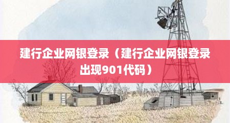 建行企业网银登录（建行企业网银登录出现901代码）