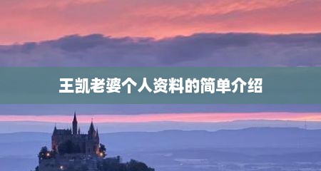 王凯老婆个人资料的简单介绍