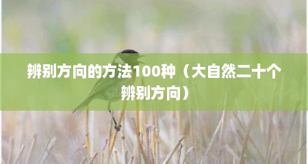 辨别方向的方法100种（大自然二十个辨别方向）