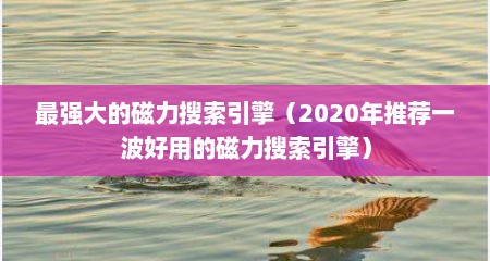 最强大的磁力搜索引擎（2020年推荐一波好用的磁力搜索引擎）