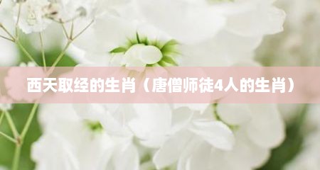 西天取经的生肖（唐僧师徒4人的生肖）