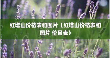 红塔山价格表和图片（红塔山价格表和图片 价目表）