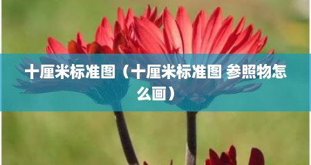 十厘米标准图（十厘米标准图 参照物怎么画）