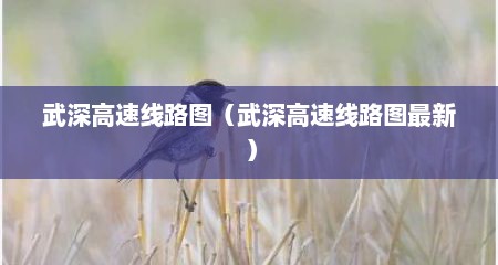 武深高速线路图（武深高速线路图最新）