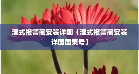 湿式报警阀安装详图（湿式报警阀安装详图图集号）