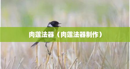 肉莲法器（肉莲法器制作）