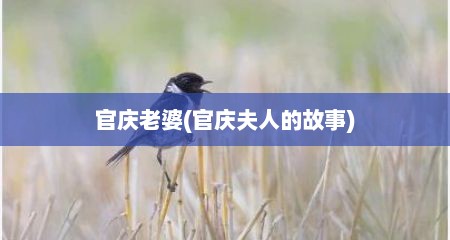 官庆老婆(官庆夫人的故事)