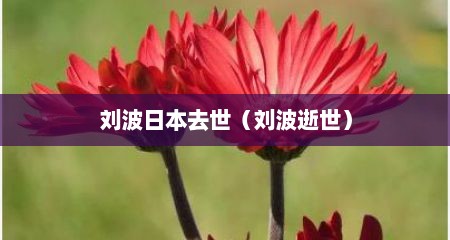 刘波日本去世（刘波逝世）