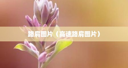 路肩图片（高速路肩图片）