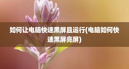 如何让电脑快速黑屏且运行(电脑如何快速黑屏亮屏)