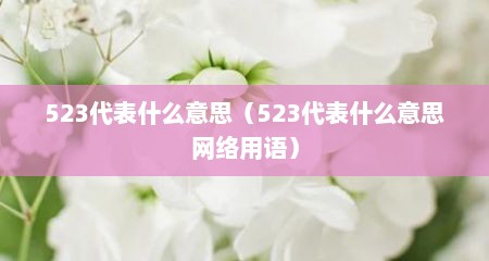 523代表什么意思（523代表什么意思网络用语）