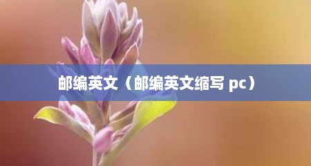 邮编英文（邮编英文缩写 pc）