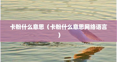 卡粉什么意思（卡粉什么意思网络语言）