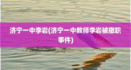 济宁一中李岩(济宁一中教师李岩被撤职事件)