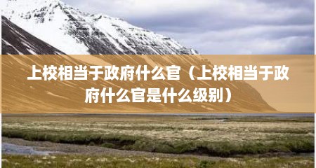 上校相当于政府什么官（上校相当于政府什么官是什么级别）