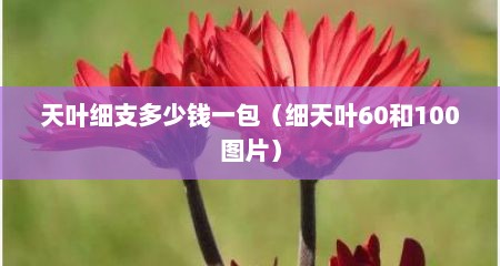 天叶细支多少钱一包（细天叶60和100图片）