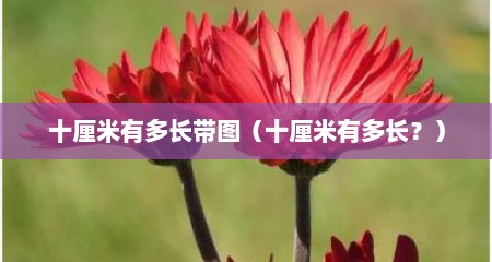 十厘米有多长带图（十厘米有多长？）