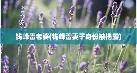 钱峰雷老婆(钱峰雷妻子身份被揭露)