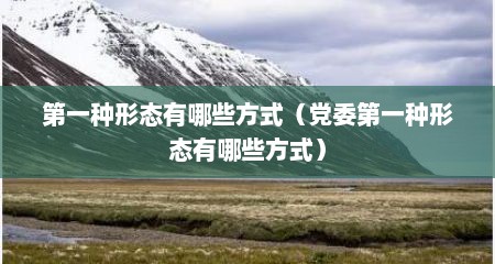 第一种形态有哪些方式（党委第一种形态有哪些方式）
