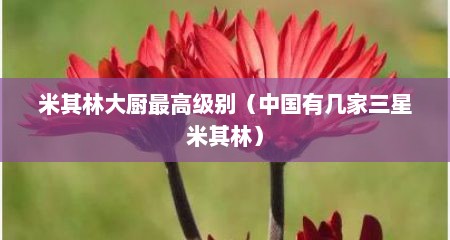 米其林大厨最高级别（中国有几家三星米其林）