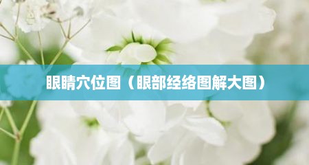 眼睛穴位图（眼部经络图解大图）
