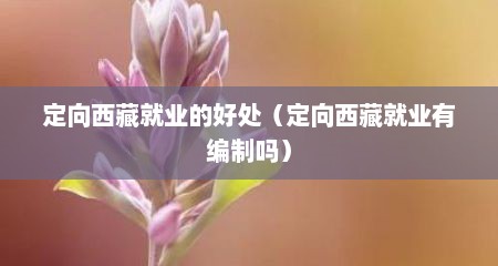 定向西藏就业的好处（定向西藏就业有编制吗）