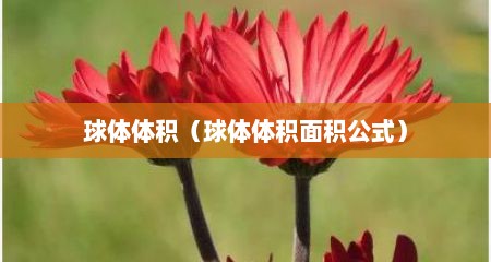 球体体积（球体体积面积公式）