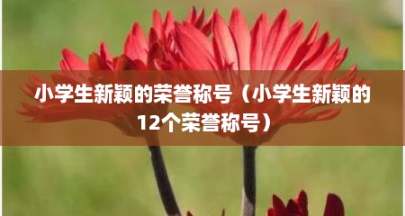 小学生新颖的荣誉称号（小学生新颖的12个荣誉称号）