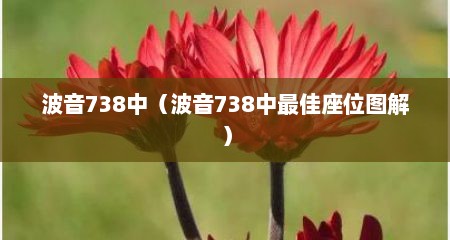 波音738中（波音738中最佳座位图解）