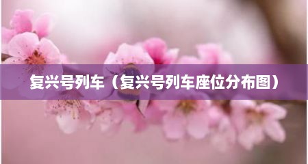 复兴号列车（复兴号列车座位分布图）