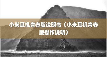 小米耳机青春版说明书（小米耳机青春版操作说明）