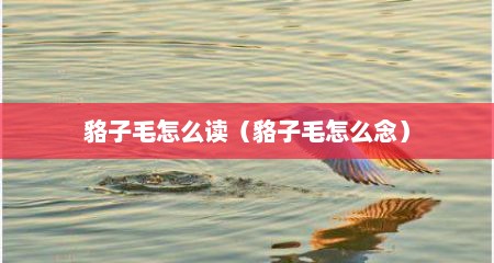貉子毛怎么读（貉子毛怎么念）
