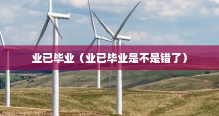 业已毕业（业已毕业是不是错了）