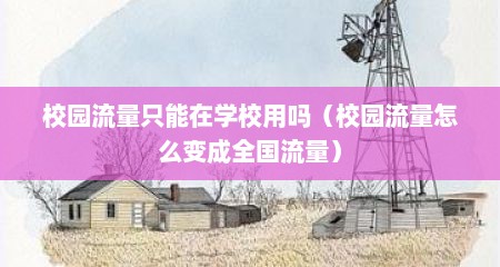 校园流量只能在学校用吗（校园流量怎么变成全国流量）