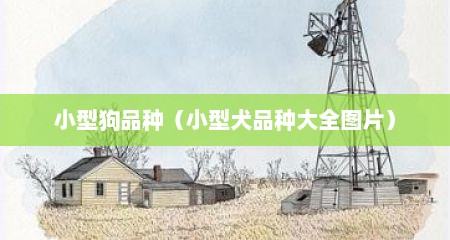 小型狗品种（小型犬品种大全图片）