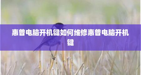 惠普电脑开机键如何维修惠普电脑开机键