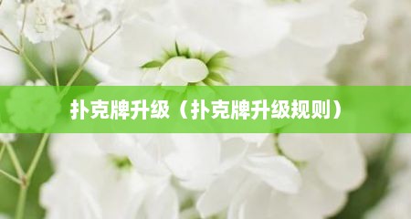 扑克牌升级（扑克牌升级规则）