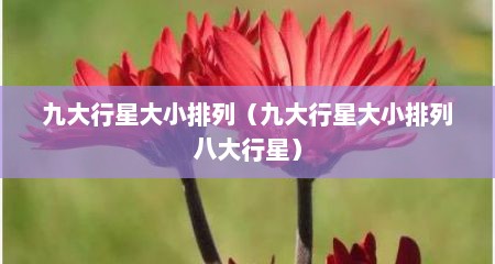 九大行星大小排列（九大行星大小排列八大行星）