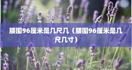 腰围96厘米是几尺几（腰围96厘米是几尺几寸）