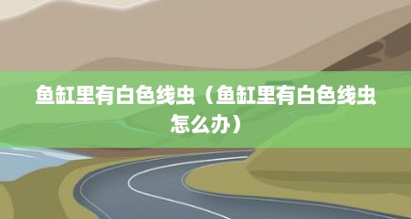 鱼缸里有白色线虫（鱼缸里有白色线虫怎么办）