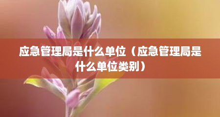 应急管理局是什么单位（应急管理局是什么单位类别）