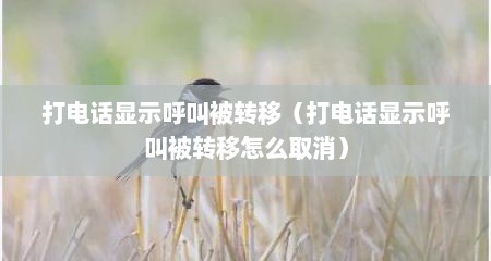 打电话显示呼叫被转移（打电话显示呼叫被转移怎么取消）