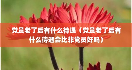 党员老了后有什么待遇（党员老了后有什么待遇会比非党员好吗）